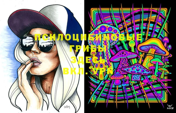 ECSTASY Елизово