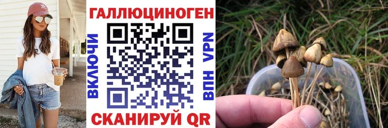 где купить наркоту Клин Галлюциногенные грибы Cubensis