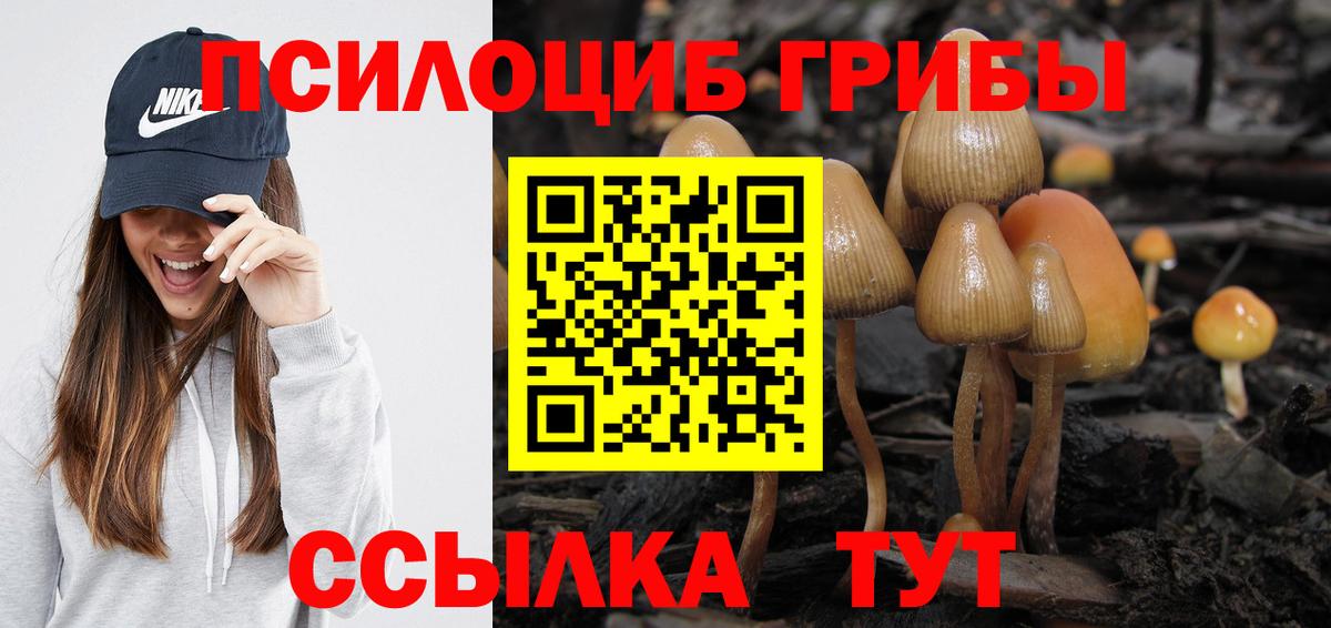 Псилоцибиновые грибы Psilocybine cubensis Клин
