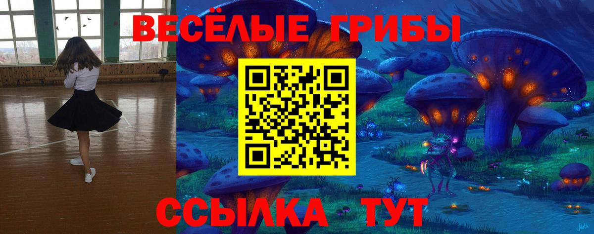 Псилоцибиновые грибы Psilocybe  Вход с VPN  Клин 