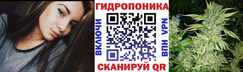 Марихуана OG Kush  Клин 
